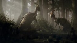 Two Parasaurolophus rear up on their hind legs and try to intimidate each other. Stock Footage