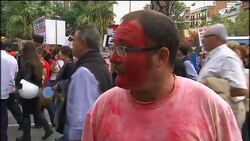Anti-bullfighting activists protest against the sport; pro bullfightng demo News Clip
