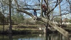 Young man walks up leaning tree and sits with girlfriend over scenic river Stock Footage