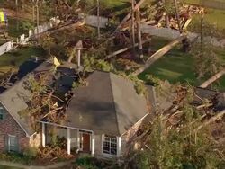 Sept. 11, 2005 aerial fallen trees on house in aftermath of Hurricane Katrina / Louisiana Stock Footage