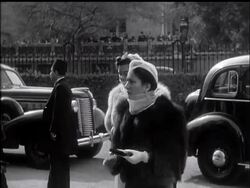 BRILLIANT OPENING OF PARLIAMENT IN CAIRO - News Clip