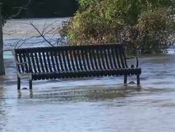 Flooded Park Stock Footage