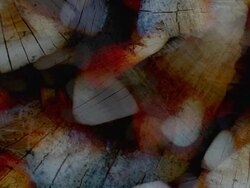 PILE OF WOOD - expanding flow from the center. (loop) Stock Footage