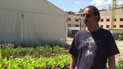 CLEAN : Spaniards grow green fingers in response to crisis News Clip