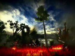 Forest fire Stock Footage