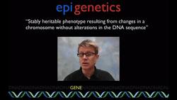 Epigenetics Instructional Video
