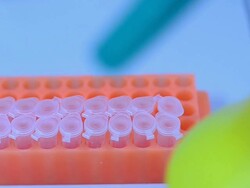 Laboratory Stock Footage