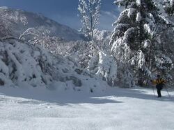 HD: Hiking In The Snow Stock Footage