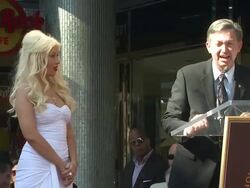 WireImage Week In Review: 11/19/10 - Spanish Version Stock Footage