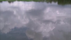 A Florida lake reflects cumulonimbus clouds and trees. Stock Footage