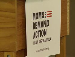 Shannon Watts I-594 Comments Stock Footage