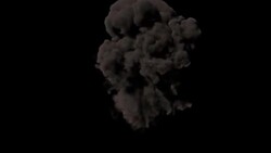 Bomb Explosion with alpha matte Stock Footage
