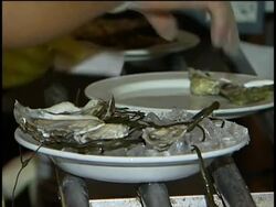 Can oysters spice up Valentine's day? News Clip