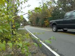 Cranberry Road with street signs and traffic News Clip