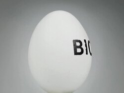 Organic Egg / Bio - rotating Stock Footage