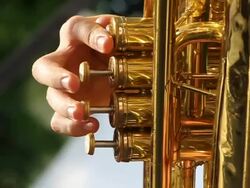 Tuba Playing Stock Footage