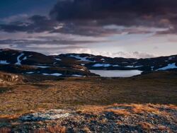 Arctic Tundra Stock Footage