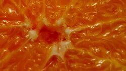 Abstract nature Orange ECU Healthy slowly rotating Stock Footage