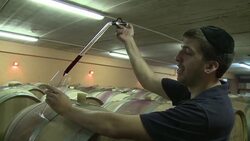 VOICED : El vino israeli renace milenios despues News Clip