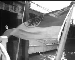 NATO VISIT News Clip