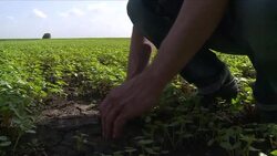 VOICED : Ukraine turmoil threatens farmers and global markets News Clip