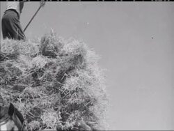 HARVEST HOME IN VICTORIA News Clip