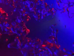 Map of the world Stock Footage