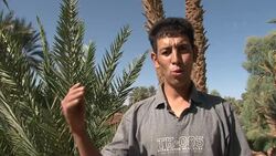 VOICED: It's a date, but may not be for long in Morocco News Clip