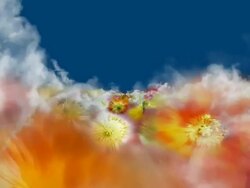 BLOOMING GERANIACEAE FIELD  - clouds/geraniaceae/blue (seamless loopable) Stock Footage