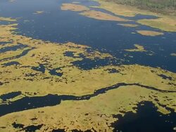 September 13, 2005 aerial wide shot over bayou near Slidell / Louisiana Stock Footage