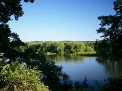 T/L River and Forest Stock Footage