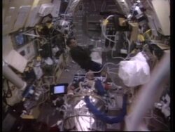 SPACE/USA: MORE RATS DIE ABOARD SHUTTLE COLUMBIA News Clip