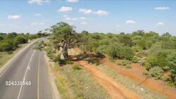 Baobab Tree, Limpopo Province, South Africa Stock Footage