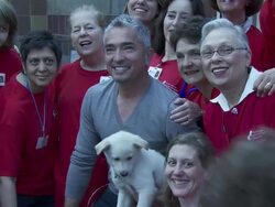 Cesar Millan at the North Shore Animal League Pet Adoptathon Weekend 2010 with Cesar Millan at Port Washington NY. (Footage by WireImage Video/GettyImages) Stock Footage