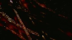 Traffic moves over several levels of a stack interchange in Los Angeles, California, at night. Stock Footage