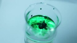 Verser de liquide dans laboratoire grassware Couleur Stock Footage