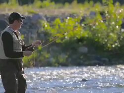 Man Fly Fishing in River Stock Footage