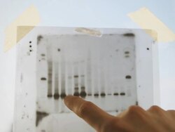 DNA genetic analysis results Stock Footage
