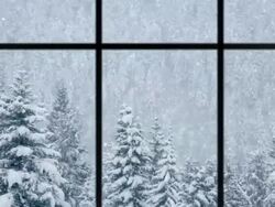 Beautiful winter scene of snow falling over pines, loopable Stock Footage