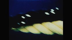 News Item (08b5aafc-d017-ba69-94d7-524a6a03557b) Instructional Video