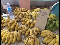 Pacific - Tourism In Tahiti News Clip