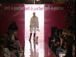 Dogs take to the catwalk as Harrods launch range of doggie treats News Clip