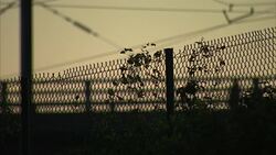 Migrants At Roadside Near Calais Port News Clip