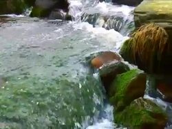WATER CASCADES OVER LICHEN COVERED ROCKS Stock Footage
