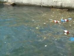 contaminated with debris Stock Footage