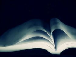 Slow motion of book pages in wind. Stock Footage