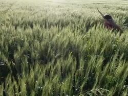 Young girl in pilot gear with toy aircraft wings - Stock Image Stock Footage