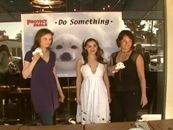 Celebrity Save The Seal Day: Press Conference Hosted by Celebrities Against The Seal Hunt Stock Footage
