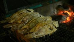 Barbecue grill Stock Footage