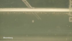 The Green Tech Bringing Life Back to the Sea News Clip